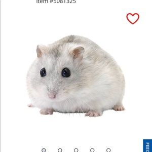 Meet your Posher, Larry